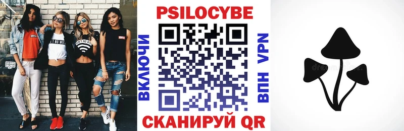 кракен как войти  Ельня  Псилоцибиновые грибы Psilocybe  хочу  